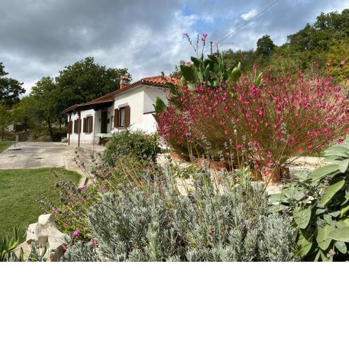 Istrian house in the heart of Tupljak - Smilovic