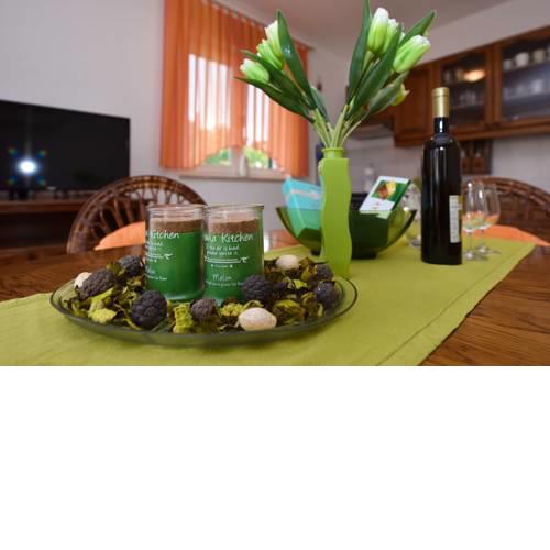 Ivana Apartment with Terrace Novalja