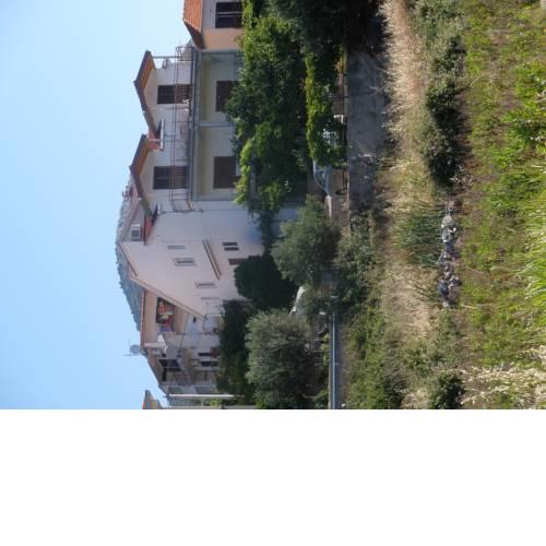 Jadran