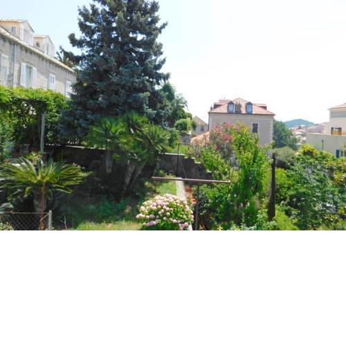 Jungle terrace
