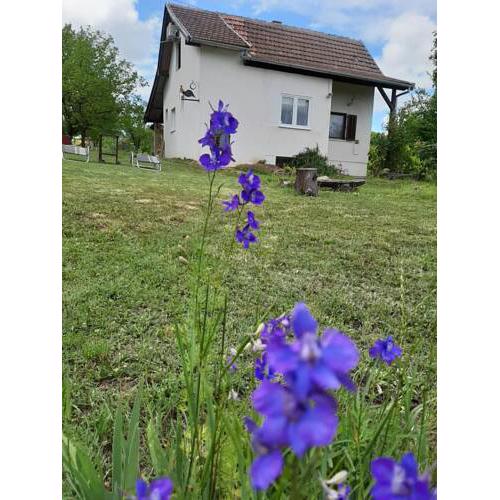Kuća za odmor Mali Anđeo