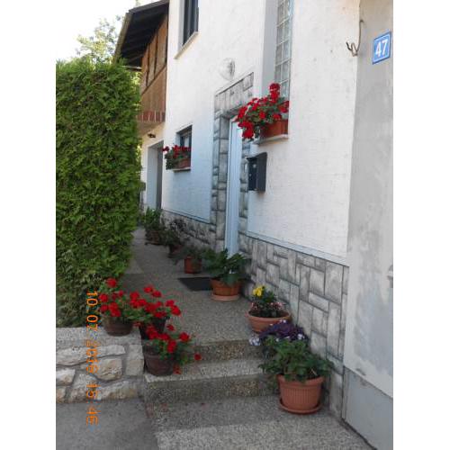 Apartman Kupa-Kolpa