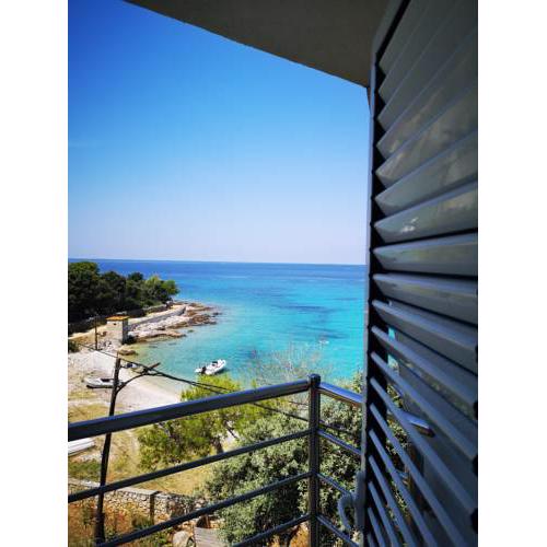 Light Blue Paradise