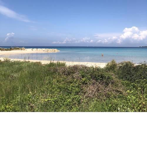 Lovely apartment on the beach with free parking
