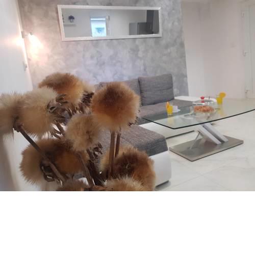 Luxury apartment Dalmatian comfort