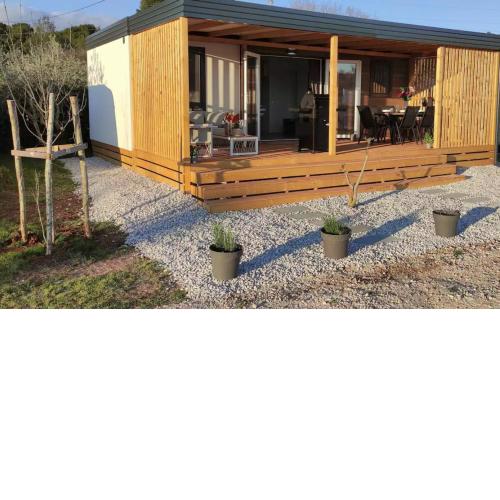 Luxury home Alpha, pool, camp Volme - Istria