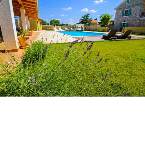 Luxury Villa Aura with pool and jacuzzi****