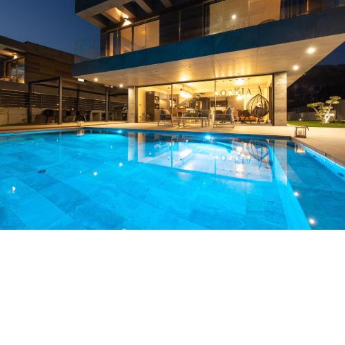 Luxury villa GRANDIOSA with sauna and jacuzzi