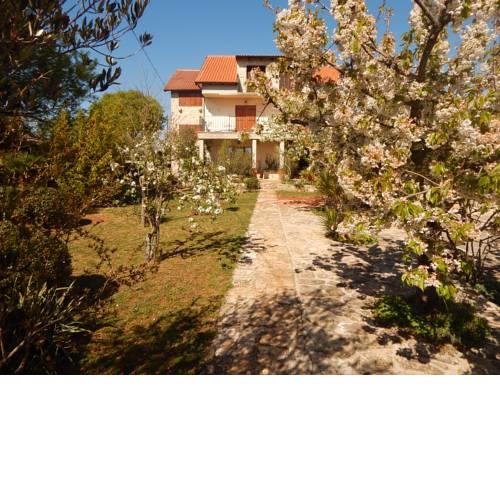 Mandić Rooms