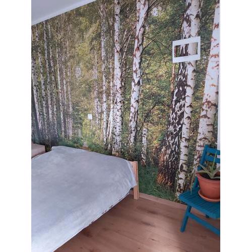Mango Studio Apartment