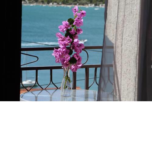Marina Apartmani Tisno Murter