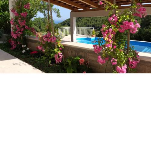 Mediterranean stone house