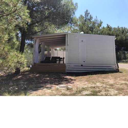 Mighty Mobile Homes - luxury camping experience