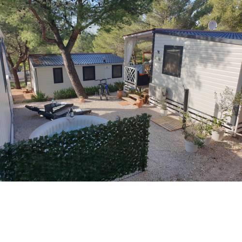 Mobile Home Blue Class IV