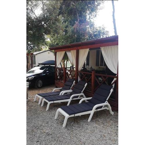 Mobile home MM
