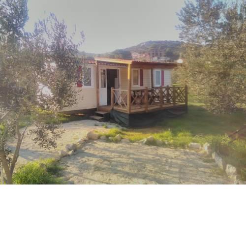 Mobile Homes Dina