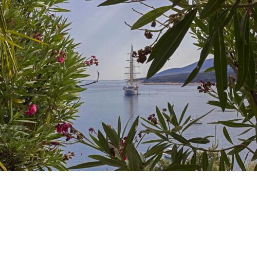Modern 2 BDR & 2 Bathroom app with sea view, 077