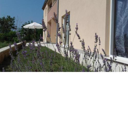 Modern Apartment , 10 m from the beach , sea view
