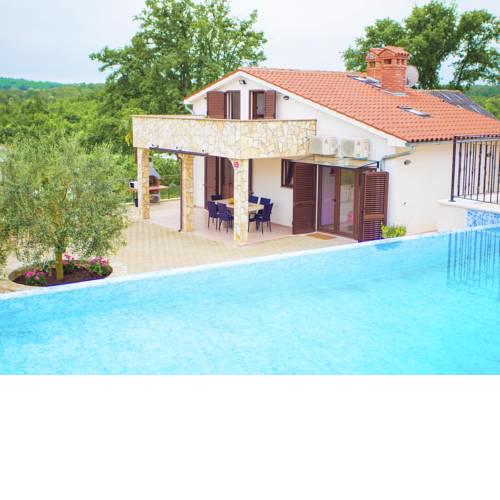 Modern Villa with Pool in Rakotule Croatia