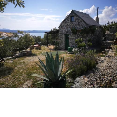 Mrdina house
