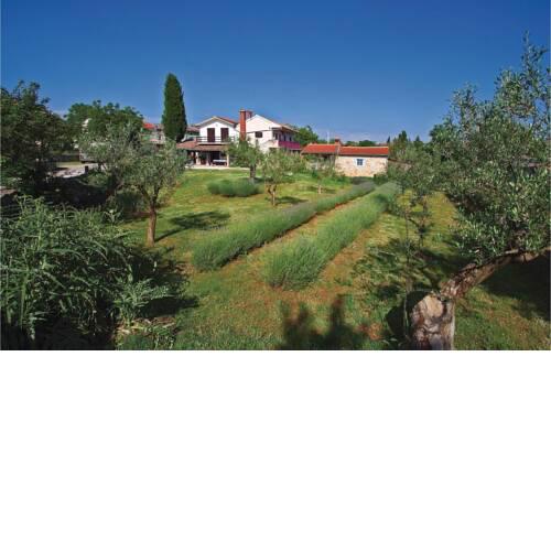 Nice apartment in Kanfanar with WiFi and 1 Bedrooms