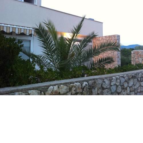 Nice house close to Zrce beach for 12