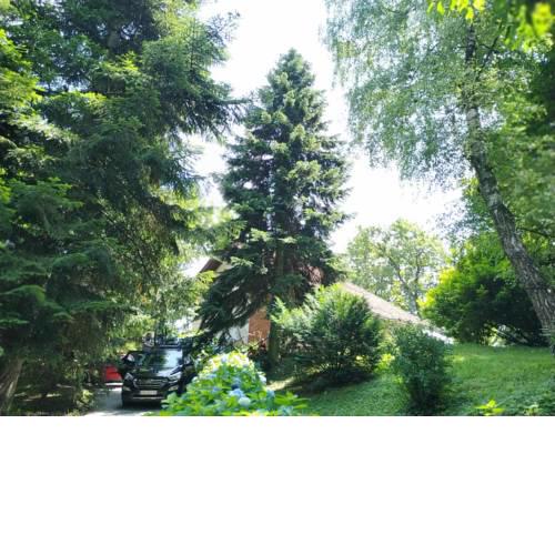 Old Chestnut Vacation Home