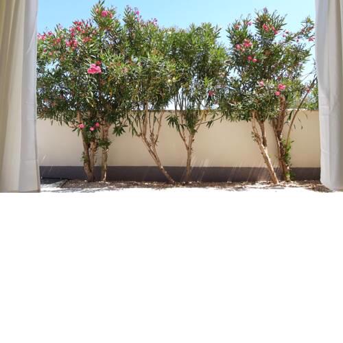 Oleander