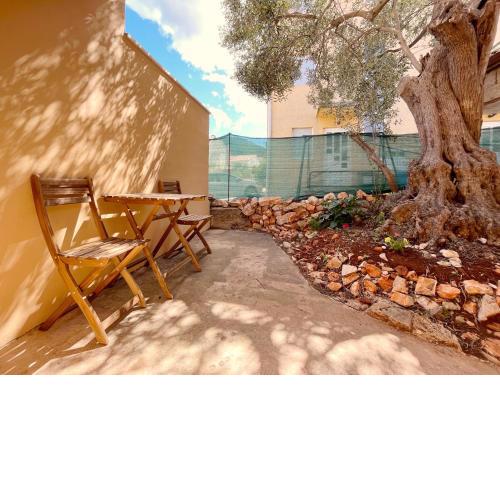 Olive Tree