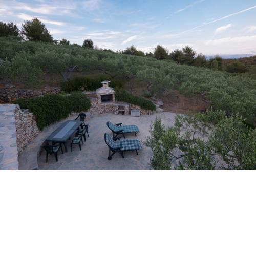 Olive Tree House - Charme Homes