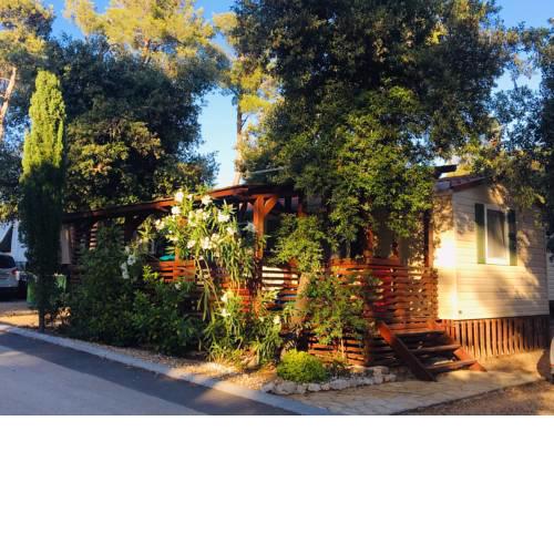 Pine And Lavander Home