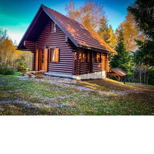 Pine Lodge