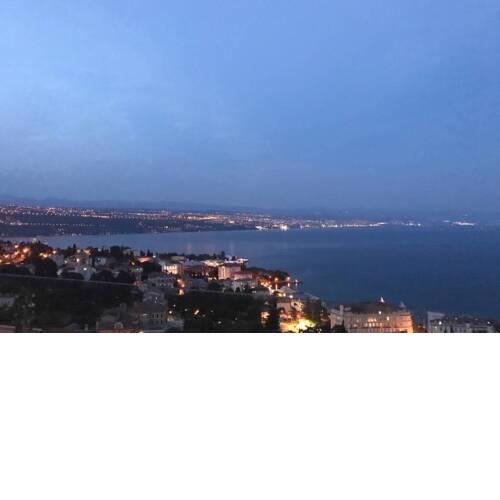 Pogled the View