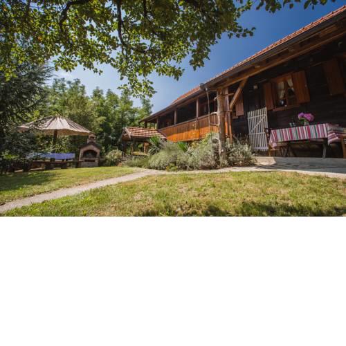 Pool village house Breznica