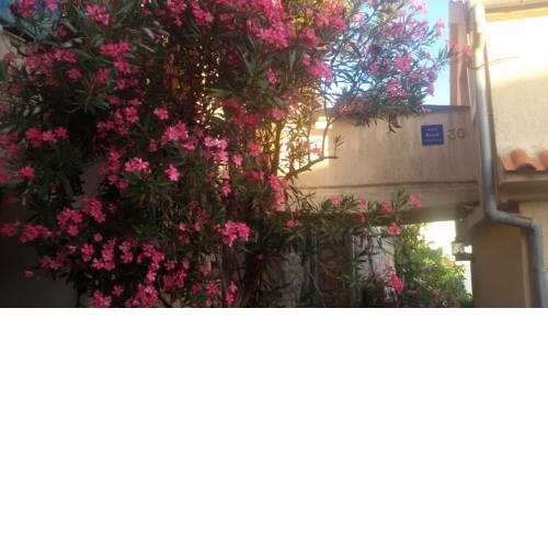 Punat Galija Apartment