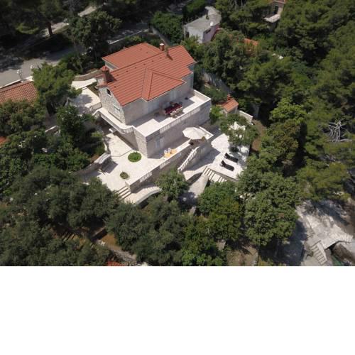 Punta Ruzmarin