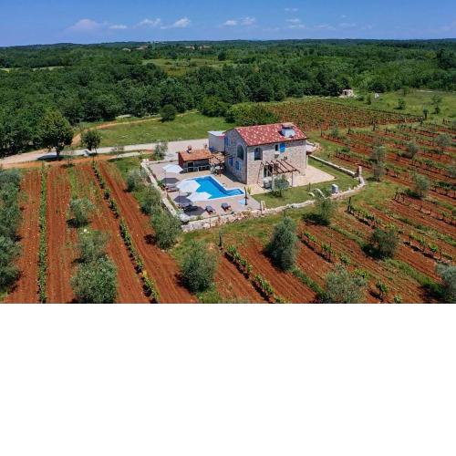 Relax house surrounded by olives and vineyard