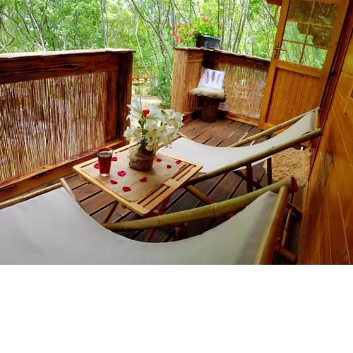 Robinson Accommodation Freedom