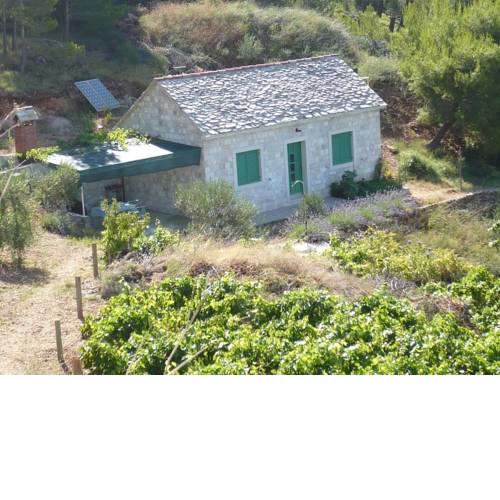 Robinson House Brac (18)
