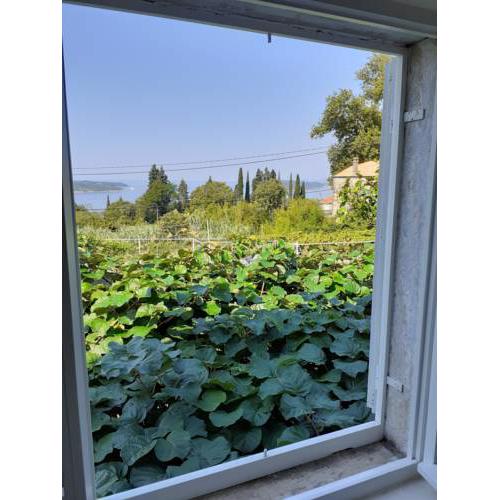 Rooms Lucija