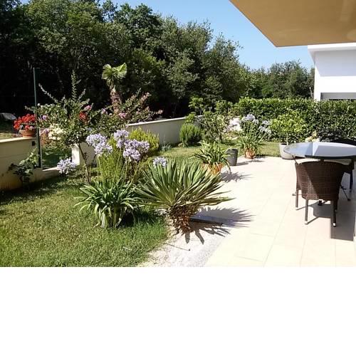 Rooms Zelić