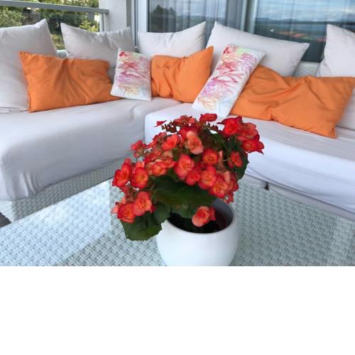 Rova bay appartment