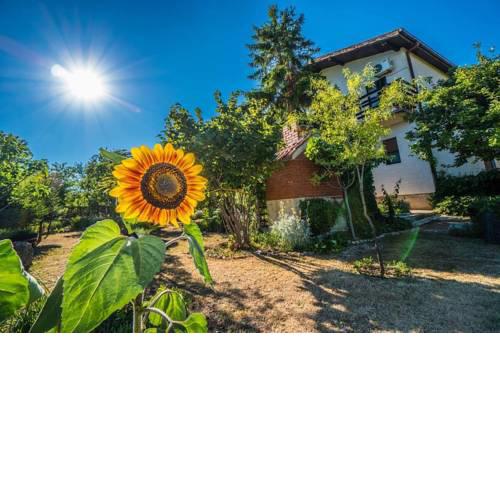 Rural Apartment Knin