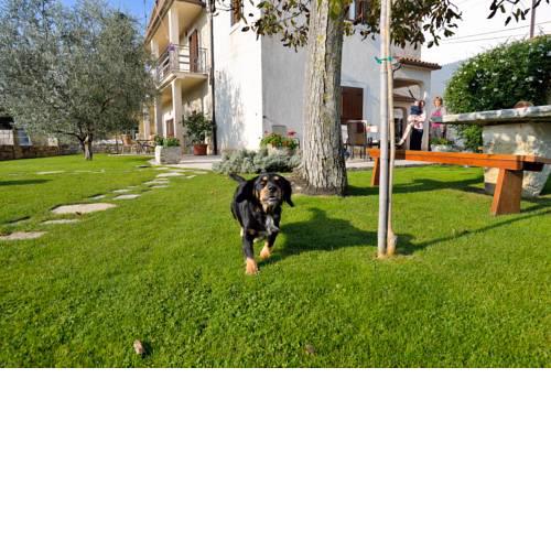 Rural Apartments Ritossa