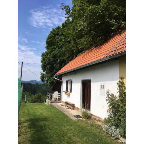 Rural house above the forest