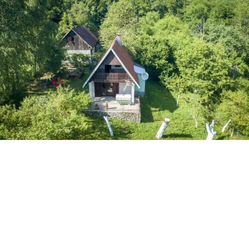 Rural house with guesthouse Tomljenovic