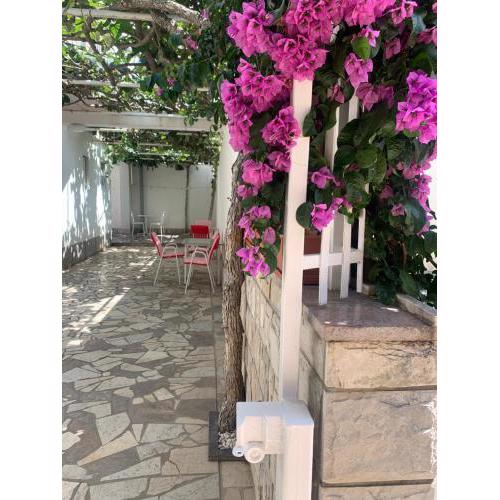 RUŽA 2 studio apartmani