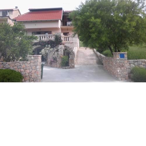 Ruža