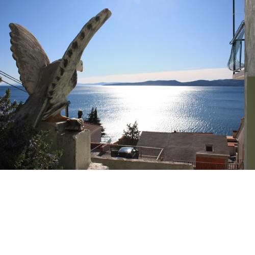 Seagull View
