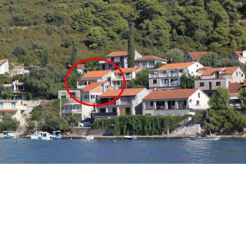 Seaside holiday house Brna, Korcula - 19219